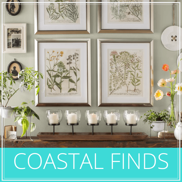 coastal finds